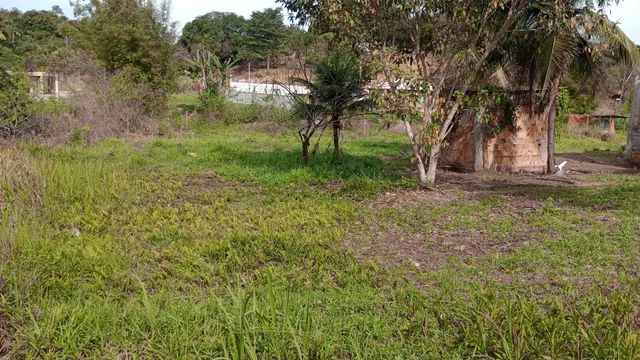 Foto Vendo Terreno Em Tinguá  Barão De Guandu