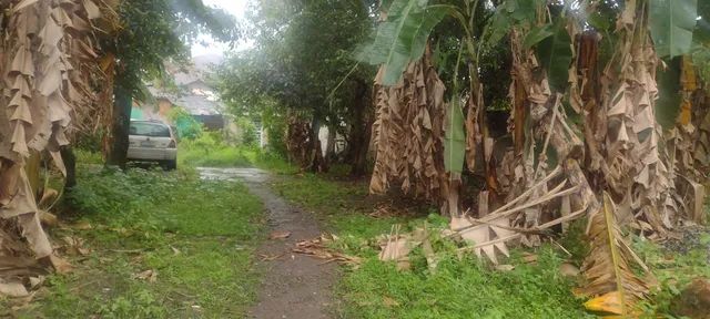 Foto Terreno No Rio De Janeiro Baixada Fluminense Ponto Chic