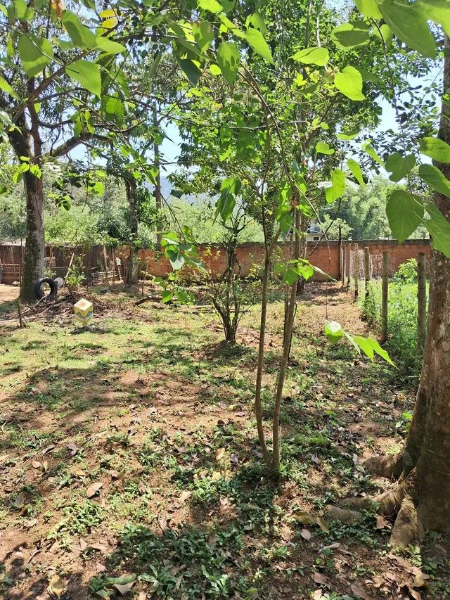 Foto Vendo Terreno, Em Tingua,    Imperdível, Oportunidade única  Iguaçu Velho