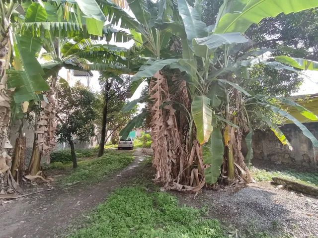 Foto Vendo Terreno Na Baixada Fluminense Ponto Chic