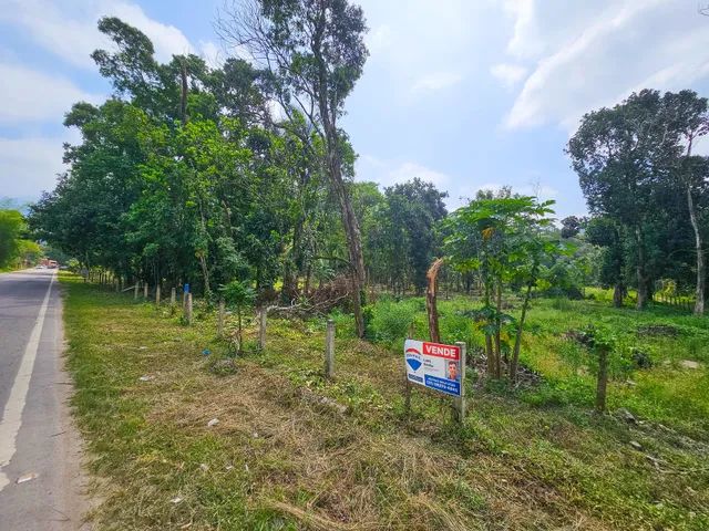 Foto Sítio Para Venda Possui 300 Metros Quadrados De área Construída Com 2  Iguaçu Velho