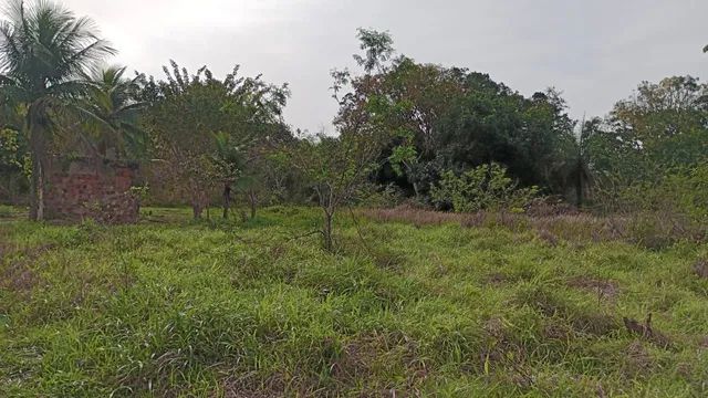 Foto Venda De Terreno  Barão De Guandu