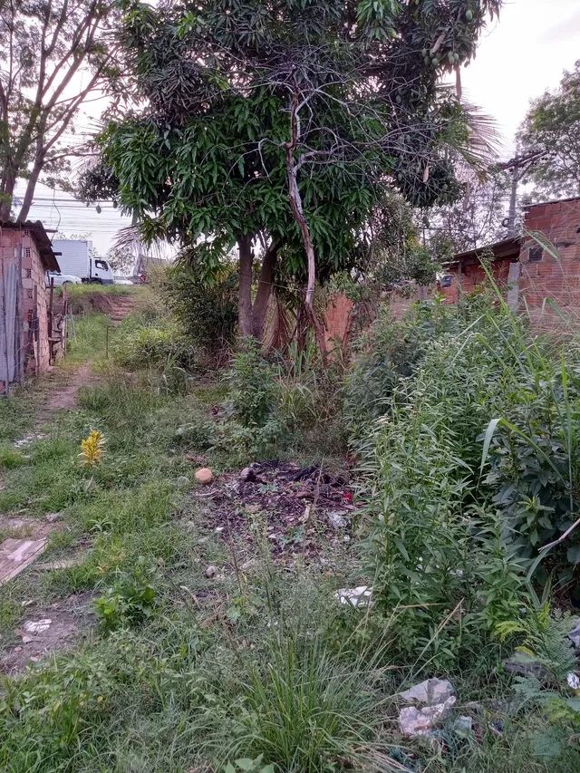 Foto Terreno Baratinho! Lagoinha