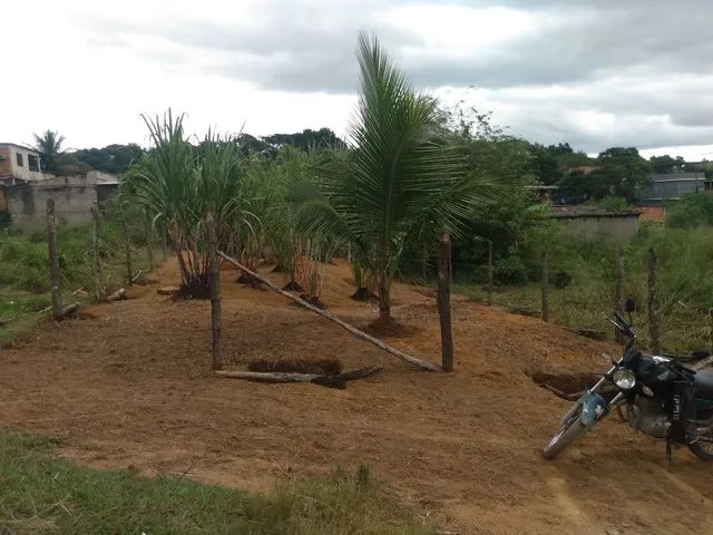 Foto Vendo Terreno  Austin