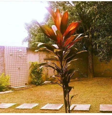 Foto Vendo Casa  Lagoinha