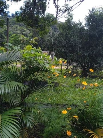 Foto Chácara Em Tingua Autódromo