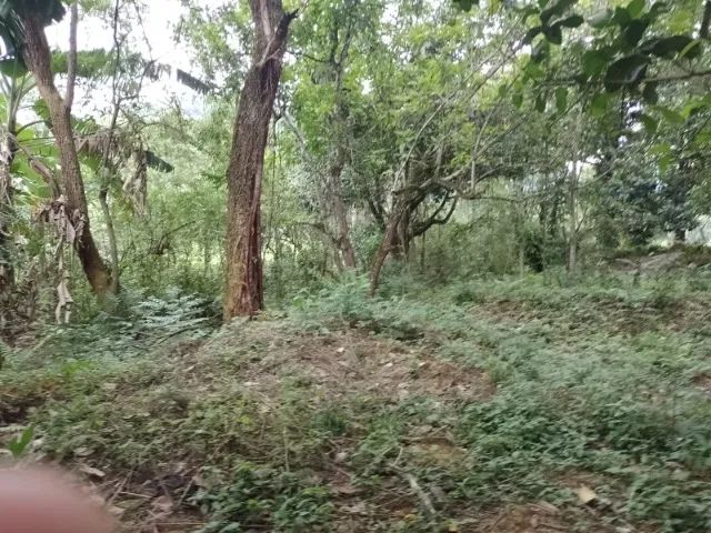 Foto Vendo Terreno Em Parque Estoril Tingua  NI 200.000,00  Cidade Jardim Parque Estoril