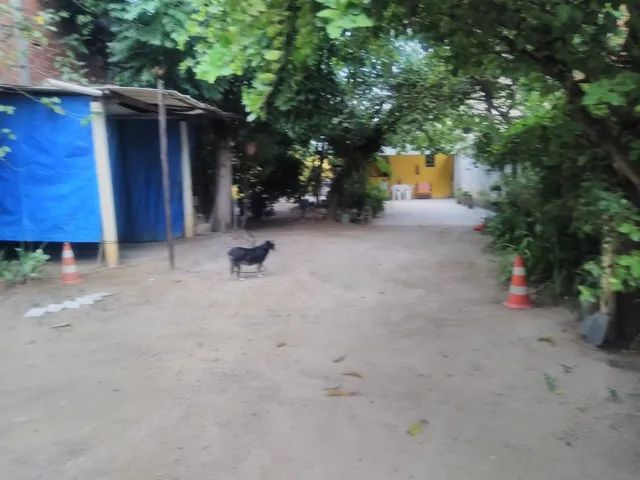 Foto Terreno Amplo Vila São Luis