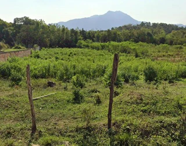 Foto Lote/terreno Para Venda Tem 3600 Metros Quadrados Em Barão De Guandu - Barão De Guandu