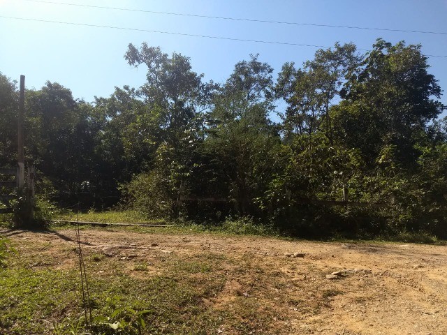 Foto Vendo Terreno 10 Mil Metros Com 2 Cachoeiras E 2 Nascentes Muita água  Tinguá