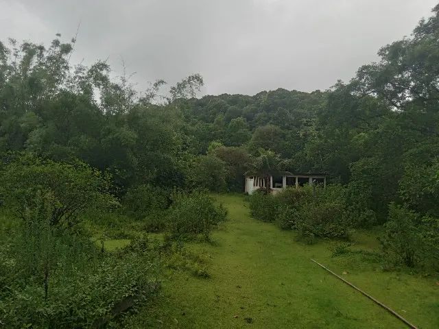 Foto Sítio Em Tinguá - Barão De Guandu Barão De Guandu
