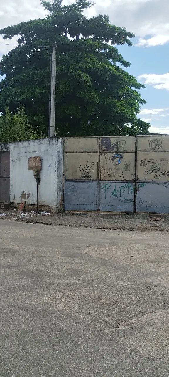 Foto Alugo Ou Vendo Terreno Murado Em Santa Eugênia Santa Eugênia