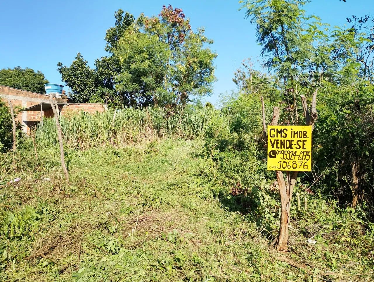 Foto Vendo Terreno 12 X 30 Três Marias Cabuçu Campo Alegre