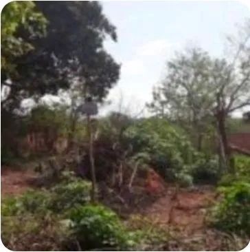 Foto Terreno Nova Km 37 Lagoinha Lagoinha