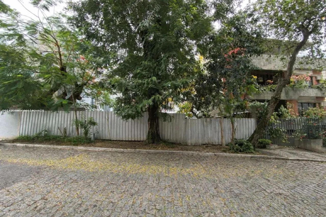 Foto Terreno Para Venda Em NI, Centro Palmeiras