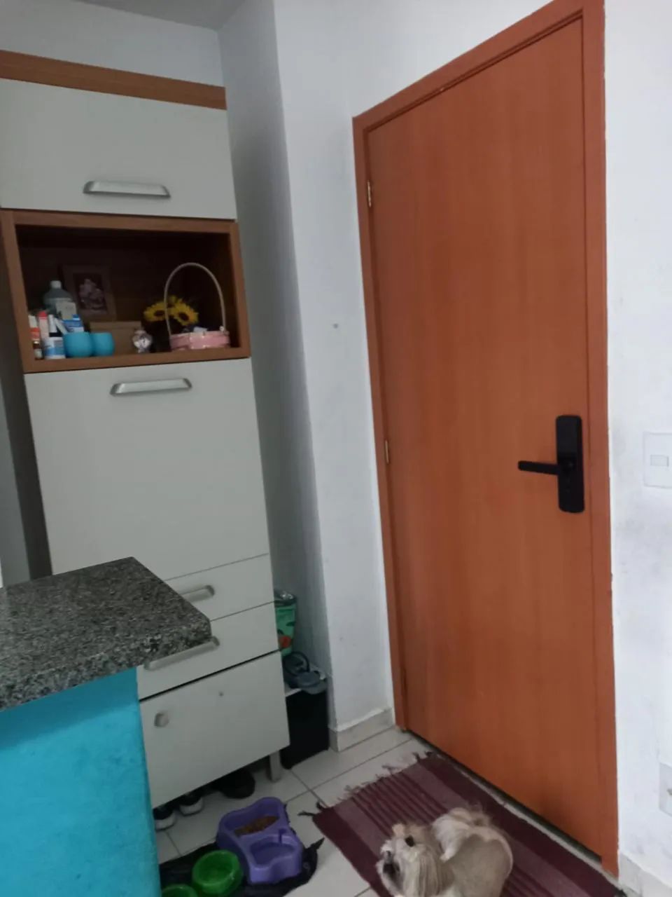 Foto Alugo Cruzeiro Do Sul