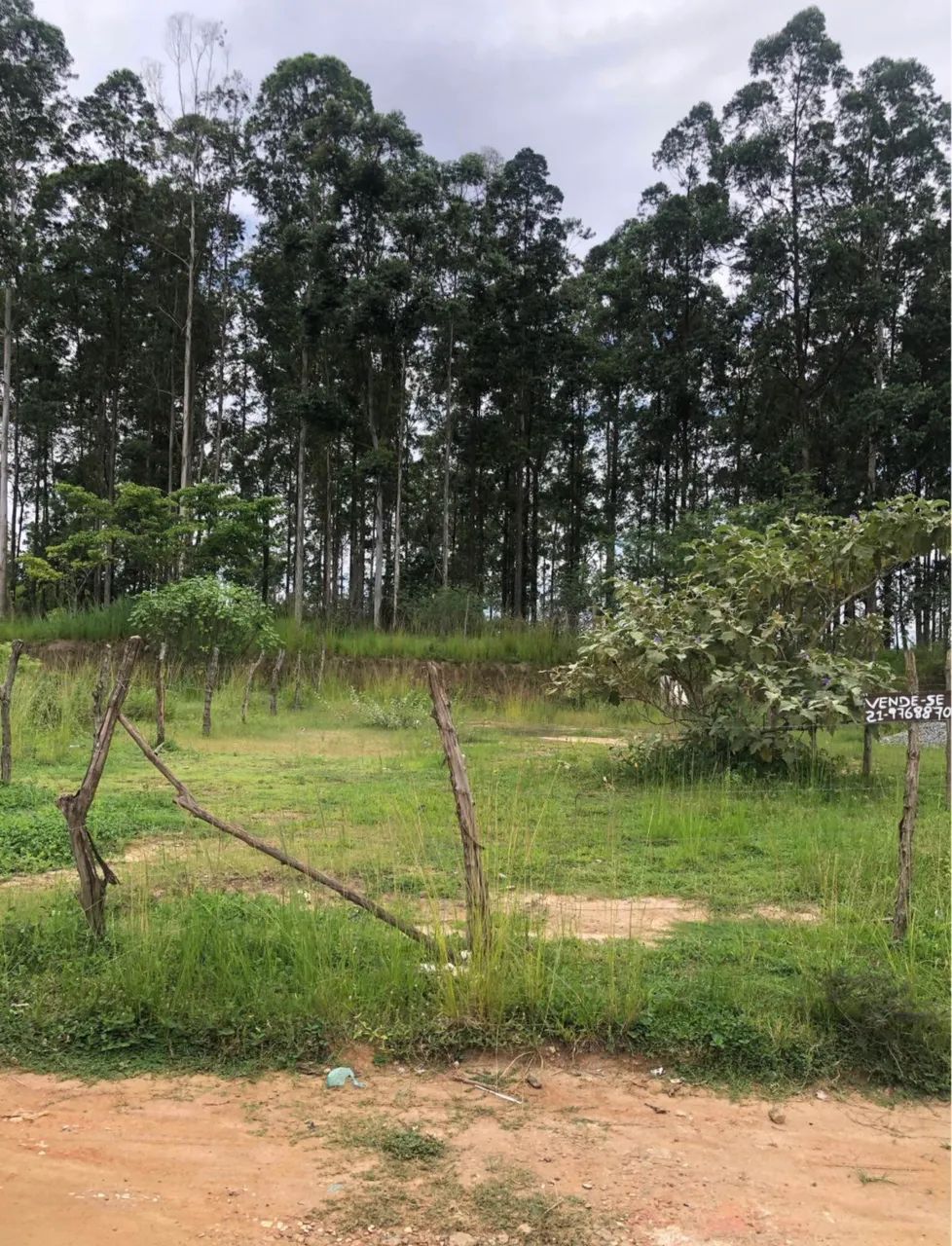 Foto Terreno 10x25, NI? Campo Alegre