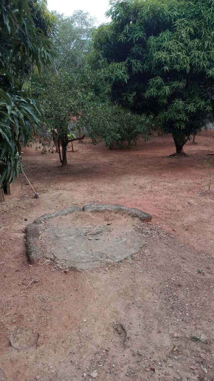 Foto Mini Sítio Lagoinha Lagoinha