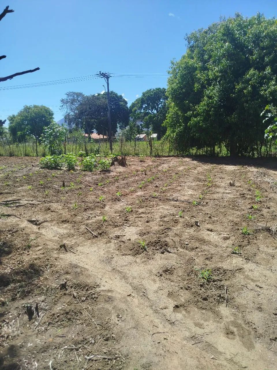 Foto Sítio Lagoinha - NI - Rj Paraíso