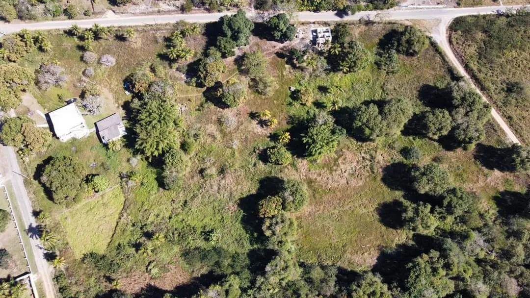 Foto Vendo Lotes E Casa. Campo Alegre