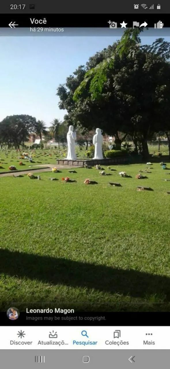 Foto Jazigo Perpétuo Da Luz