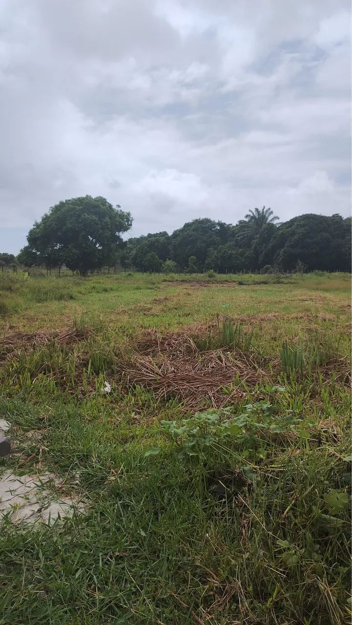 Foto Vendo Terreno Em Unamar/cabo Frio Miguel Couto