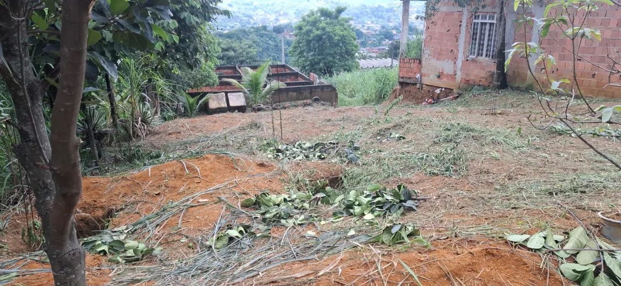 Foto Terreno Miguel Couto