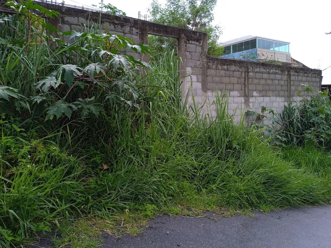 Foto Imóvel Para Venda Tem 120 Metros Quadrados Em Valverde - NI - Valverde