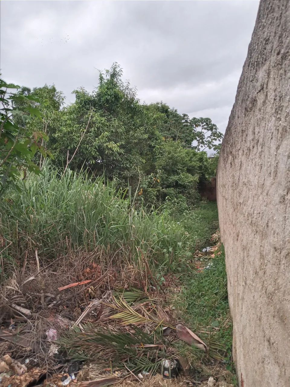 Foto Venda De Terreno Cabuçu