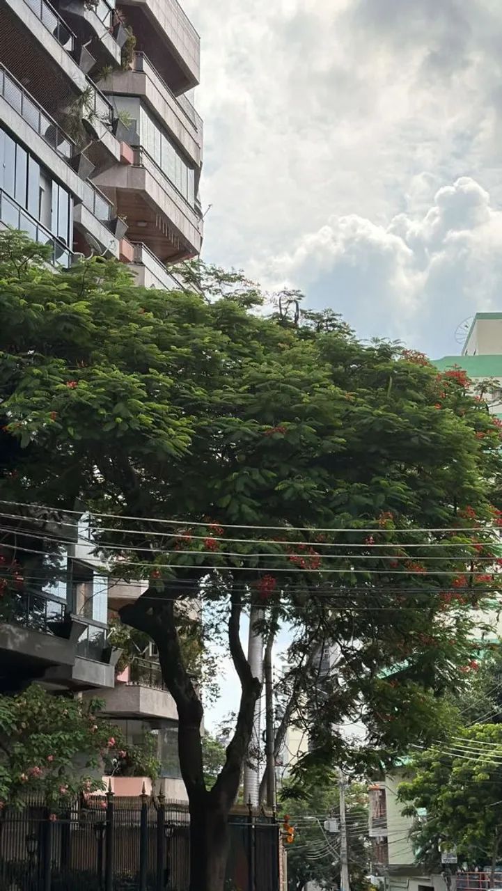 Foto Lindo Apartamento Centro