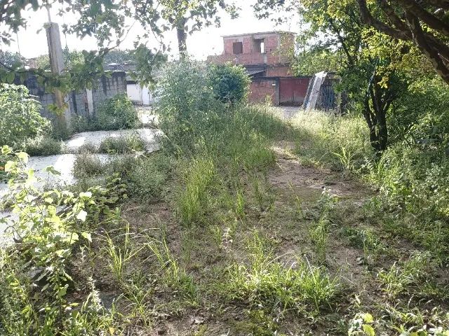 Foto Vendo Terreno 12&45, 540 Metros Quadrados Com Escritura E Rgi Em Cabuç Cabuçu