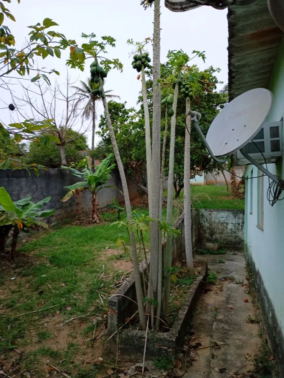 Foto Casa Independente - Chácara Ipiranga