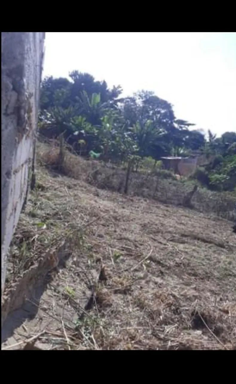 Foto Terreno Jardim Palmares