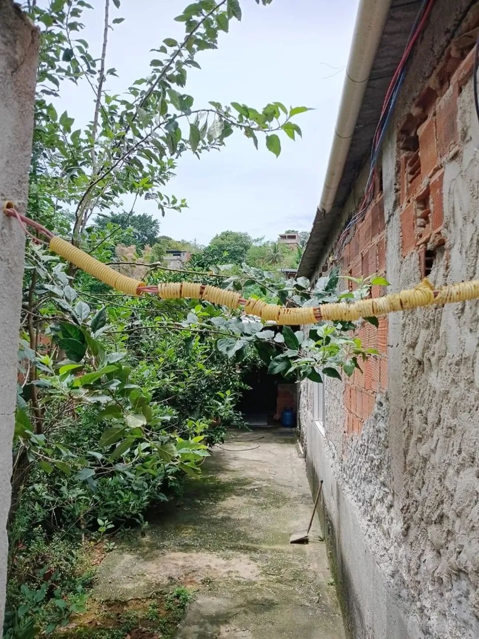 Foto Vendo Ou Troco Ambaí