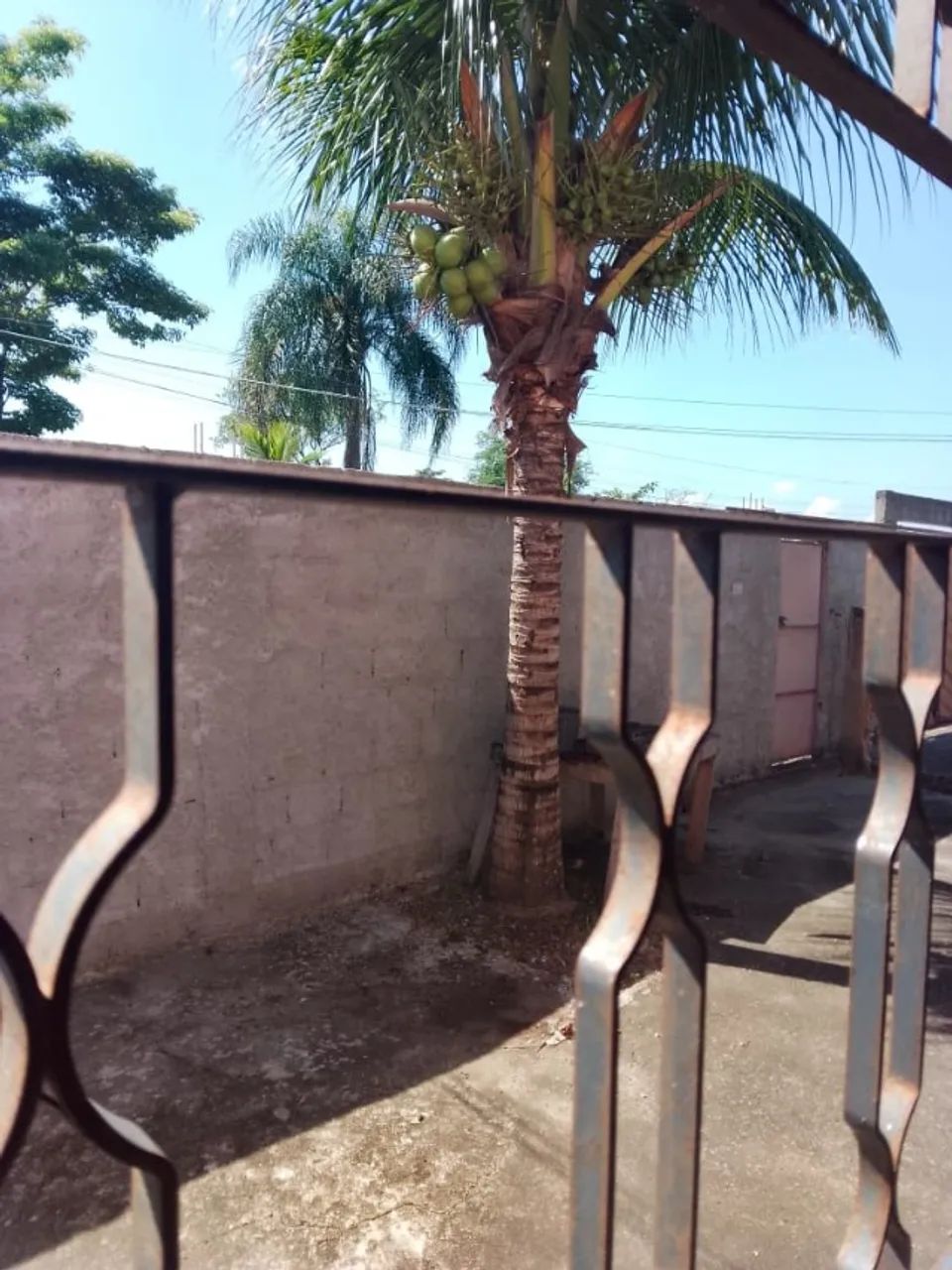 Foto Casa, Dois Quartos, Quintal Grande, Garagem, Arvores Frutiferas, Mini  Prados Verdes