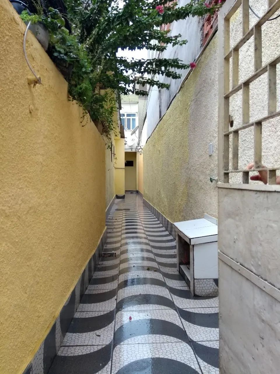 Foto Ótimas Casas Bairro Da Luz Da Luz