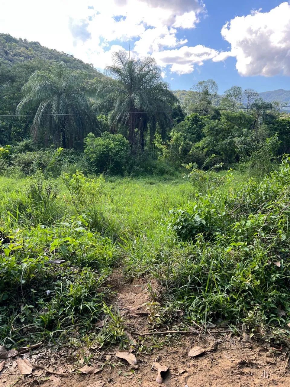 Foto Vendo Lotes Recreio Paco Da Marambaia