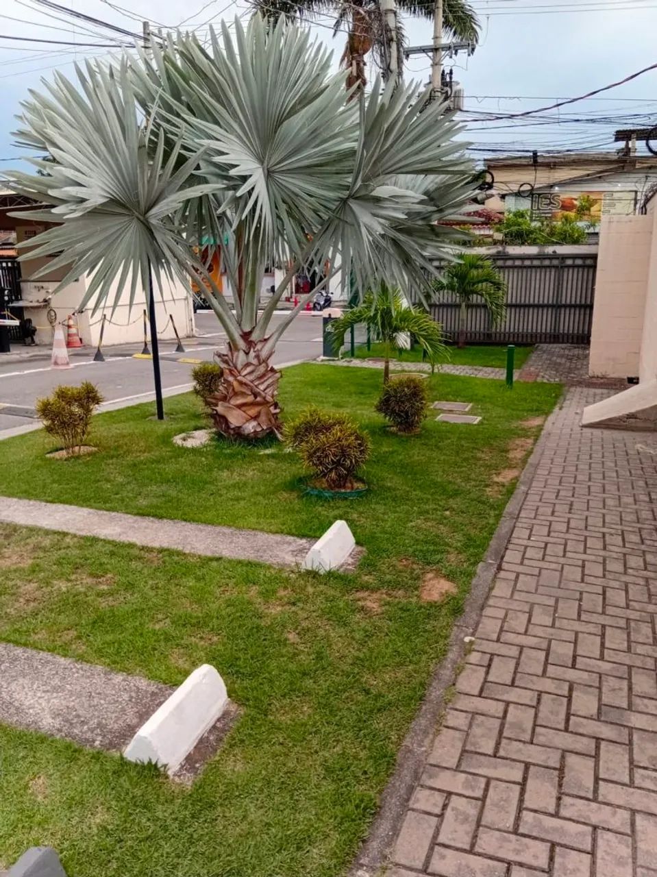 Foto CondomÍnio Viva Mais Vila Catia