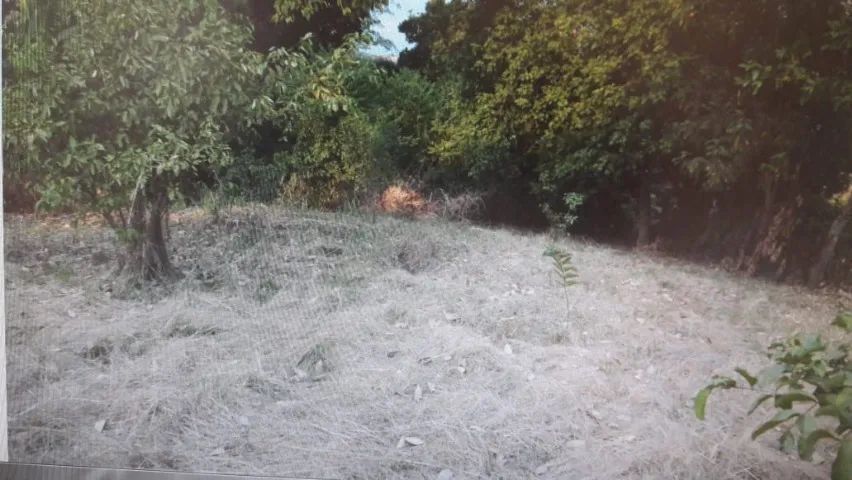 Foto Vendo Terreno Em Cabucu Jardim Carioca