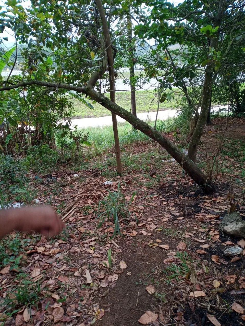 Foto Vendo Terreno Em Vila De Cava Lagoinha