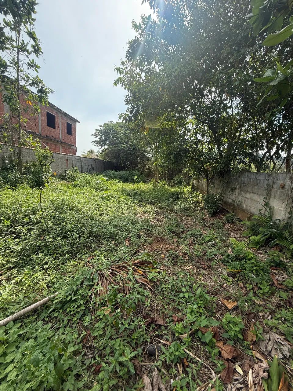 Foto Terreno No Geneciano Miguel Couto