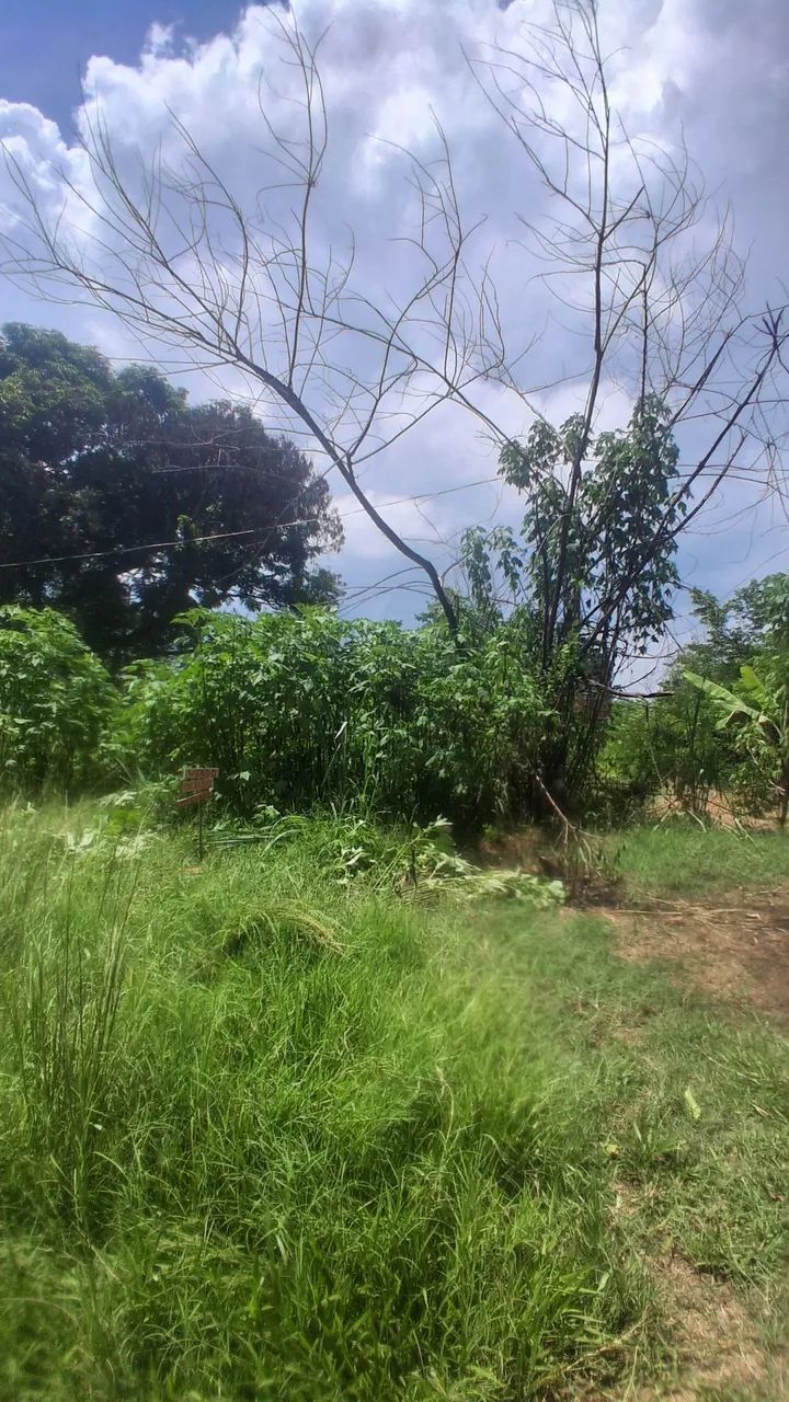 Foto Terreno No Km 37  Lagoinha Lagoinha