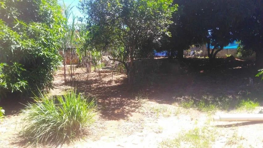 Foto Mini Sitio Lagoinha