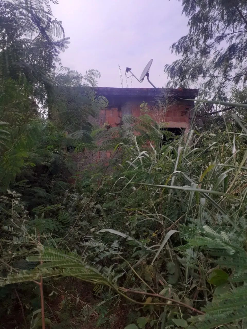 Foto Vendo Terreno Em NI, Bairro Lagoinha Todo Documentação No Meu Lagoinha