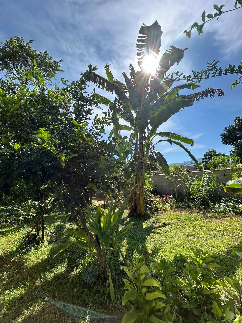 Foto Vendo Terreno Excelente Em Tinguá (NI)- Recanto Dos Tabuleiro Tinguá