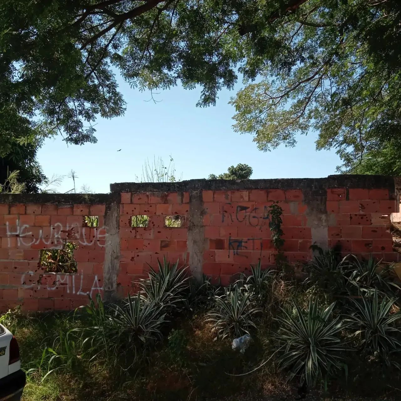 Foto Ótimo Terreno Em Nova IguaÇu Jardim Palmares