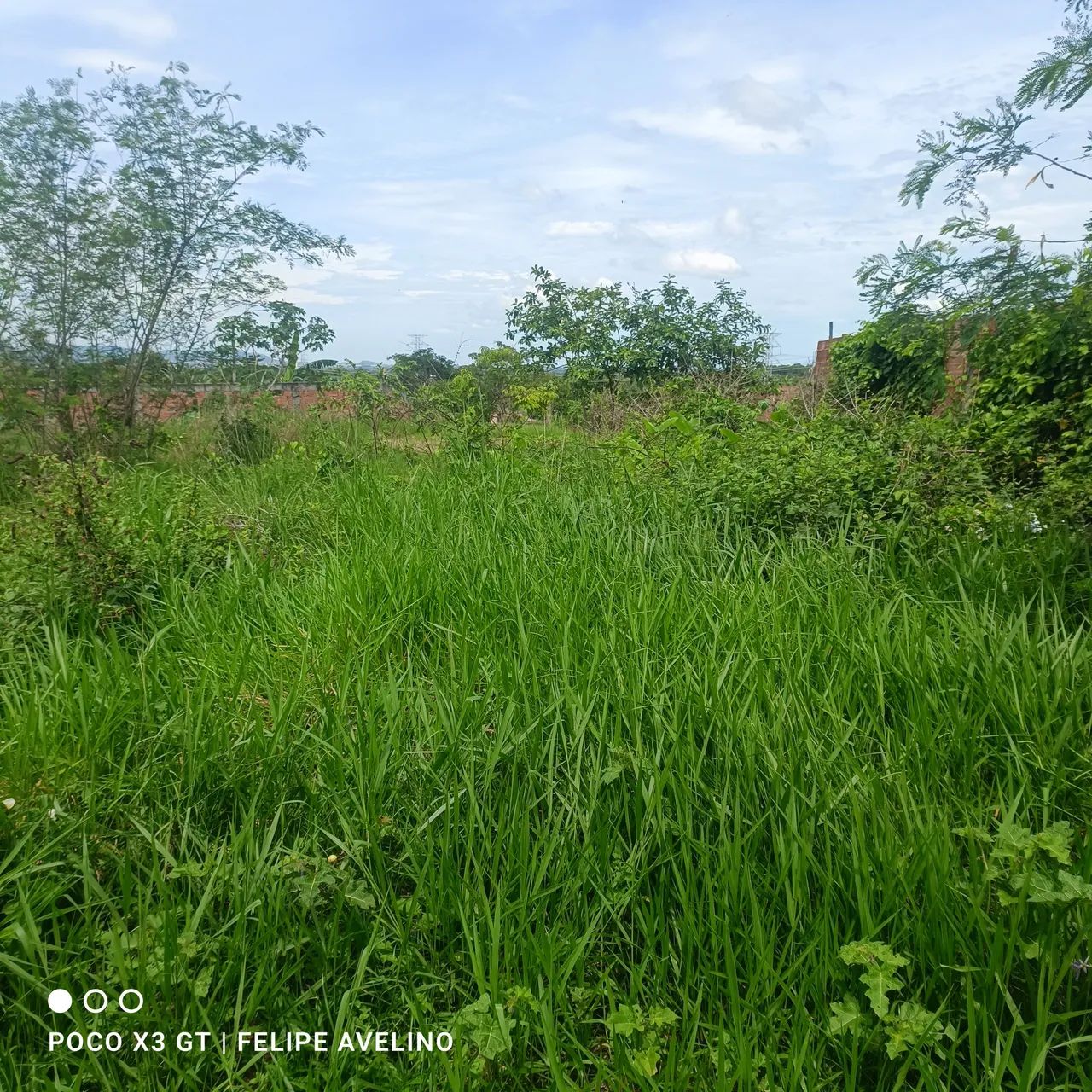 Foto Terreno Com Documentos Jardim Palmares