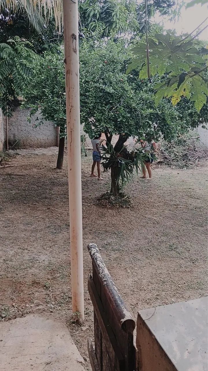 Foto Undefined Ipiranga