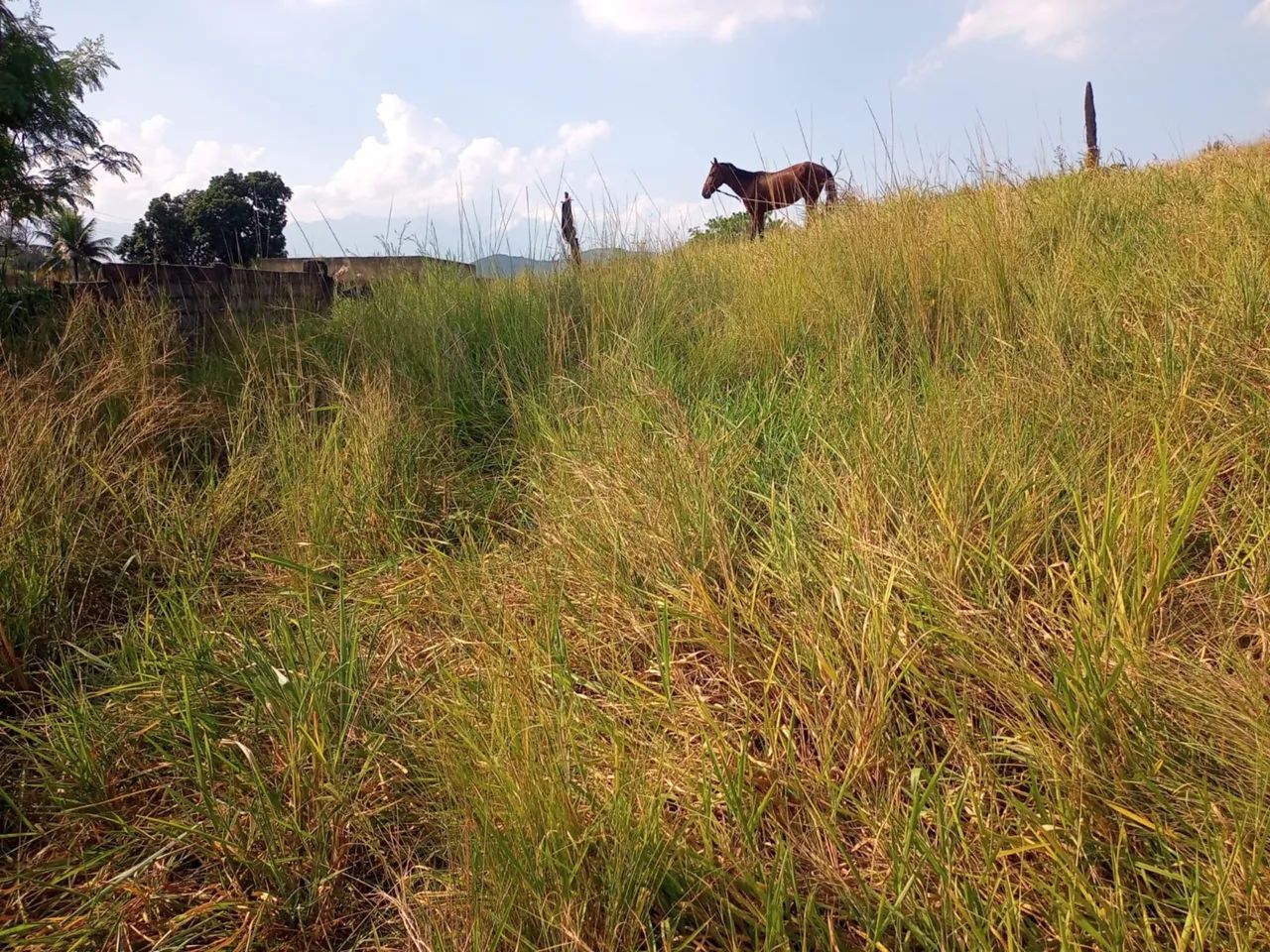 Foto Vendo Terreno Otima Localizaçao Riachão
