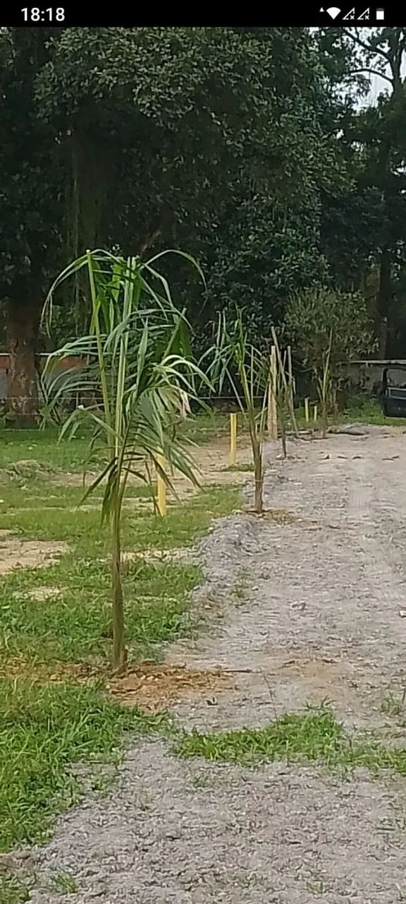 Foto Vendo Lotes Em Tingua Cidade Jardim Parque Estoril